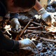 Image for article titled Incredible discovery of Aztec skeletons in ritualistic mass grave